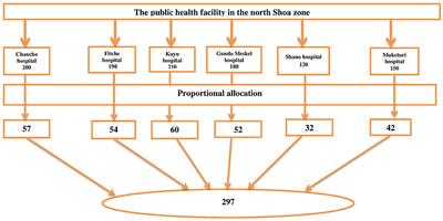 Printed information, education, and communication materials utilization and associated factors among health care providers in central Ethiopia